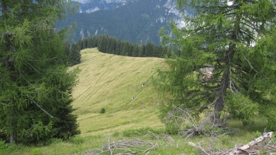 Clicca per vedere l'immagine alla massima grandezza