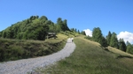 IMG_5243.jpg