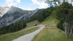 IMG_5413.jpg
