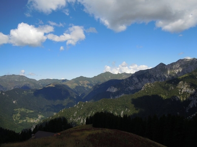 Clicca per vedere l'immagine alla massima grandezza