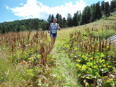 Clicca per vedere l'immagine alla massima grandezza