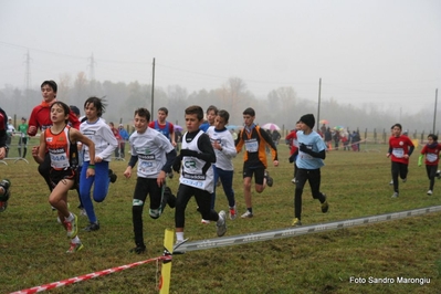 Clicca per vedere l'immagine alla massima grandezza