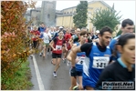 campegine_risorgive_4_novembre_stefanomorselli_0136.JPG