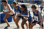 pinete_2012_stefano_morselli_0156.JPG