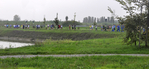 _DSC0209.jpg