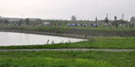 _DSC0210_copia.jpg