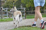 _DSC0321.jpg