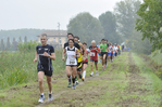 _DSC0486.jpg