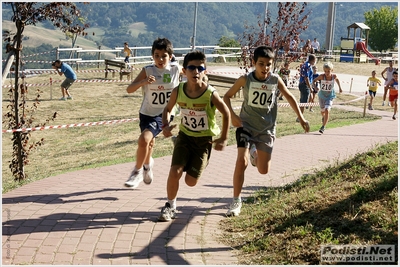 Clicca per vedere l'immagine alla massima grandezza