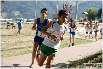 Clicca per vedere l'immagine alla massima grandezza