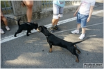 leguigno_2012_stefano_morselli_0232.JPG