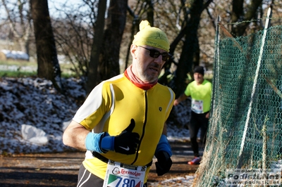 Clicca per vedere l'immagine alla massima grandezza