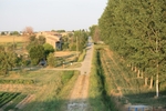 IMG_7295.jpg