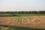 IMG_7297.jpg