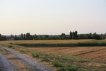 IMG_7298.jpg