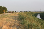 IMG_7512.jpg