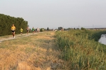 IMG_7513.jpg