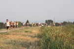 IMG_7586.jpg