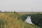 IMG_7594.jpg