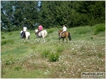 tagliata_2012_stefano_morselli_0527.JPG